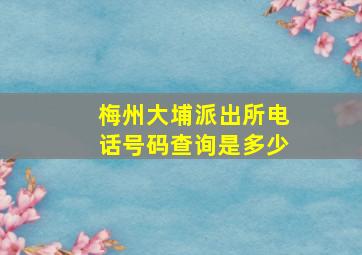 梅州大埔派出所电话号码查询是多少