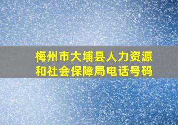 梅州市大埔县人力资源和社会保障局电话号码