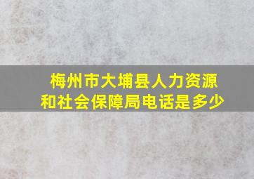 梅州市大埔县人力资源和社会保障局电话是多少