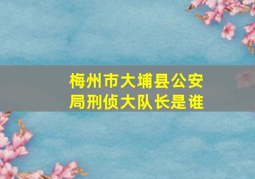 梅州市大埔县公安局刑侦大队长是谁