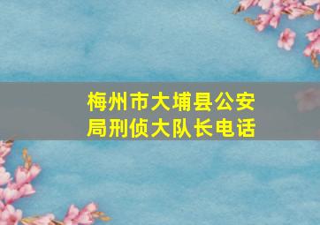 梅州市大埔县公安局刑侦大队长电话