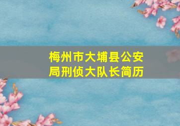 梅州市大埔县公安局刑侦大队长简历