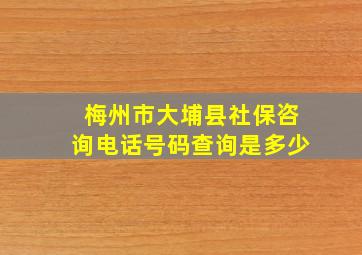 梅州市大埔县社保咨询电话号码查询是多少