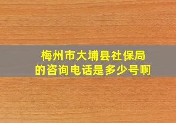 梅州市大埔县社保局的咨询电话是多少号啊