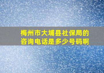 梅州市大埔县社保局的咨询电话是多少号码啊