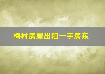 梅村房屋出租一手房东