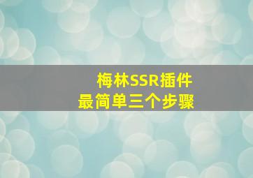 梅林SSR插件最简单三个步骤