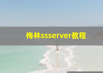 梅林ssserver教程