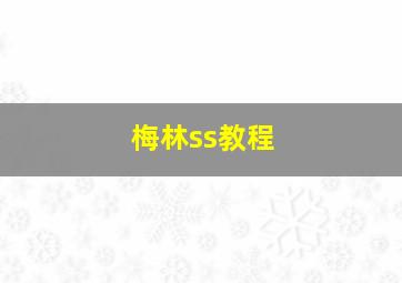 梅林ss教程