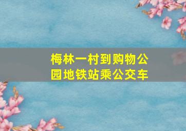 梅林一村到购物公园地铁站乘公交车