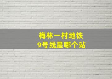 梅林一村地铁9号线是哪个站