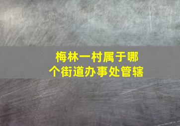 梅林一村属于哪个街道办事处管辖