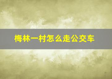 梅林一村怎么走公交车