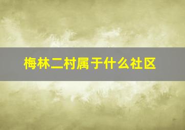 梅林二村属于什么社区