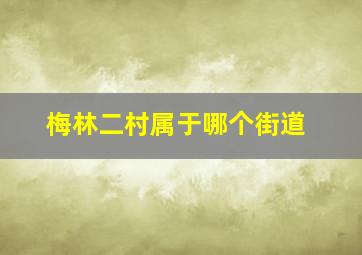 梅林二村属于哪个街道