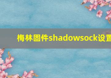 梅林固件shadowsock设置