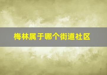 梅林属于哪个街道社区