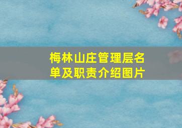 梅林山庄管理层名单及职责介绍图片