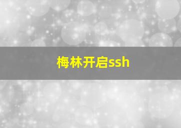 梅林开启ssh