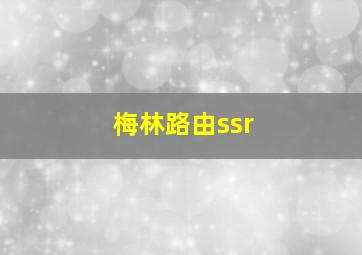 梅林路由ssr