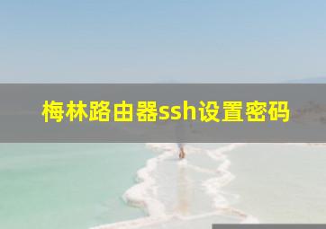 梅林路由器ssh设置密码