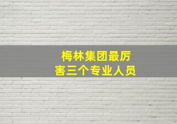 梅林集团最厉害三个专业人员