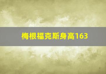 梅根福克斯身高163