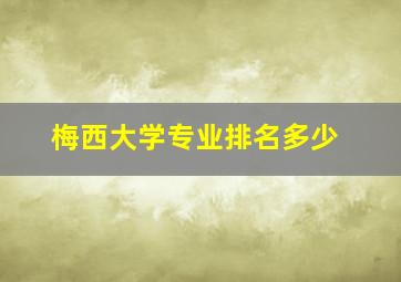 梅西大学专业排名多少