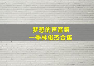 梦想的声音第一季林俊杰合集