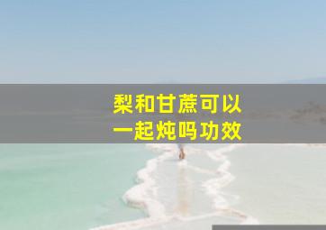 梨和甘蔗可以一起炖吗功效