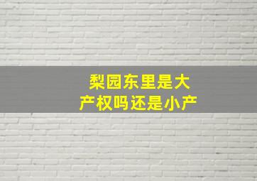 梨园东里是大产权吗还是小产