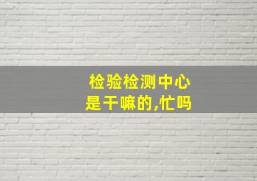 检验检测中心是干嘛的,忙吗