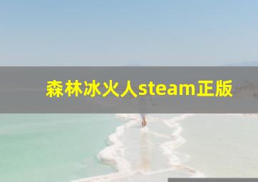 森林冰火人steam正版