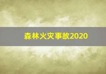 森林火灾事故2020