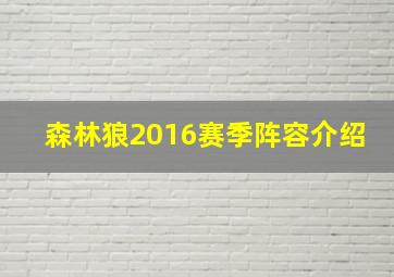 森林狼2016赛季阵容介绍