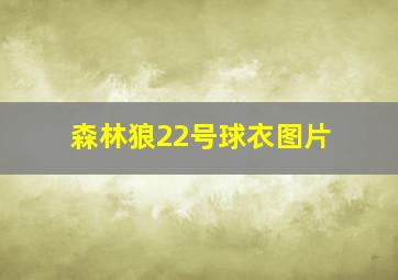 森林狼22号球衣图片