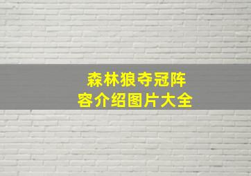 森林狼夺冠阵容介绍图片大全