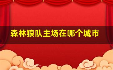 森林狼队主场在哪个城市