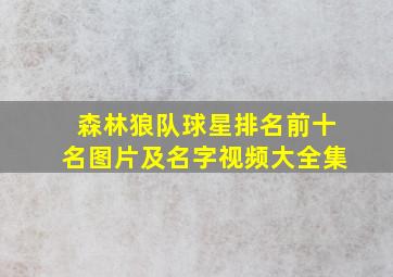 森林狼队球星排名前十名图片及名字视频大全集