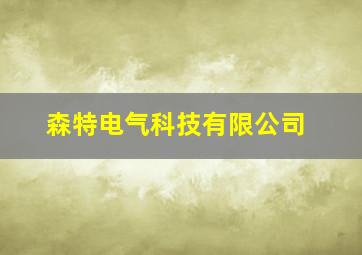 森特电气科技有限公司