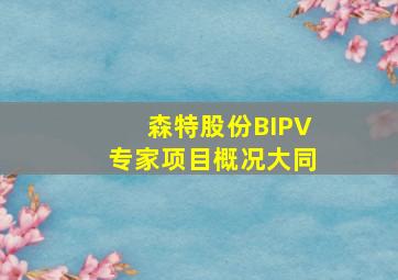 森特股份BIPV专家项目概况大同