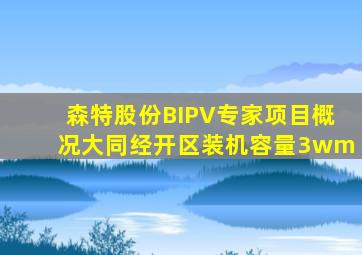 森特股份BIPV专家项目概况大同经开区装机容量3wm