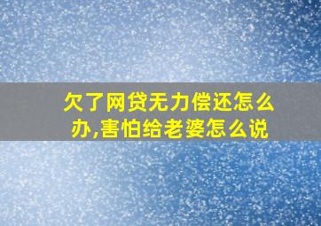 欠了网贷无力偿还怎么办,害怕给老婆怎么说