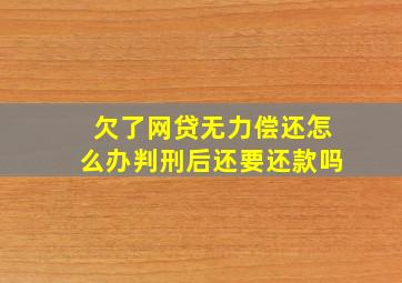 欠了网贷无力偿还怎么办判刑后还要还款吗