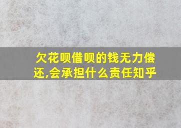 欠花呗借呗的钱无力偿还,会承担什么责任知乎