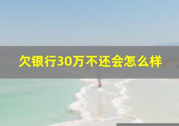 欠银行30万不还会怎么样