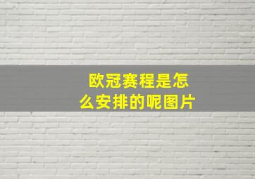 欧冠赛程是怎么安排的呢图片