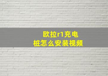 欧拉r1充电桩怎么安装视频