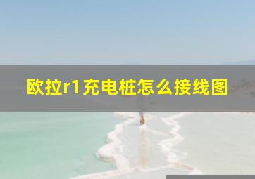 欧拉r1充电桩怎么接线图