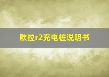 欧拉r2充电桩说明书